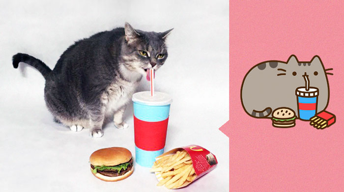 I Recreated Pusheen Stickers With My Cat (13 Pics)