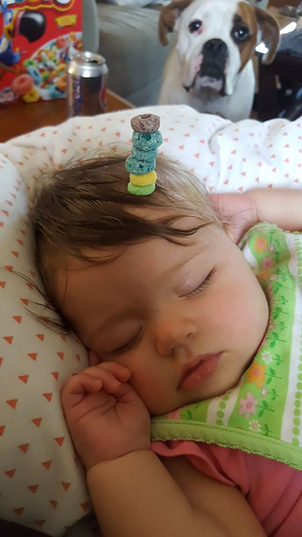 Hadley's Dog Was Very Concerned Since Blue Fruit Loops Are His Favorite