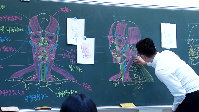 chinese-teacher-anatomical-chalkboard-drawings-16 chinese-teacher-anatomical-chalkboard-drawings-16