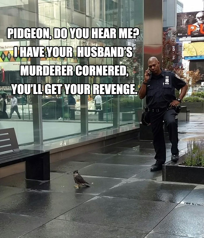 The Murderer Is Found