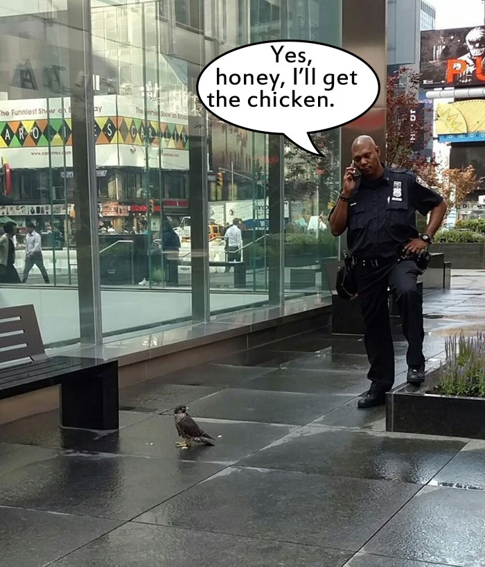 It's Chicken For Dinner