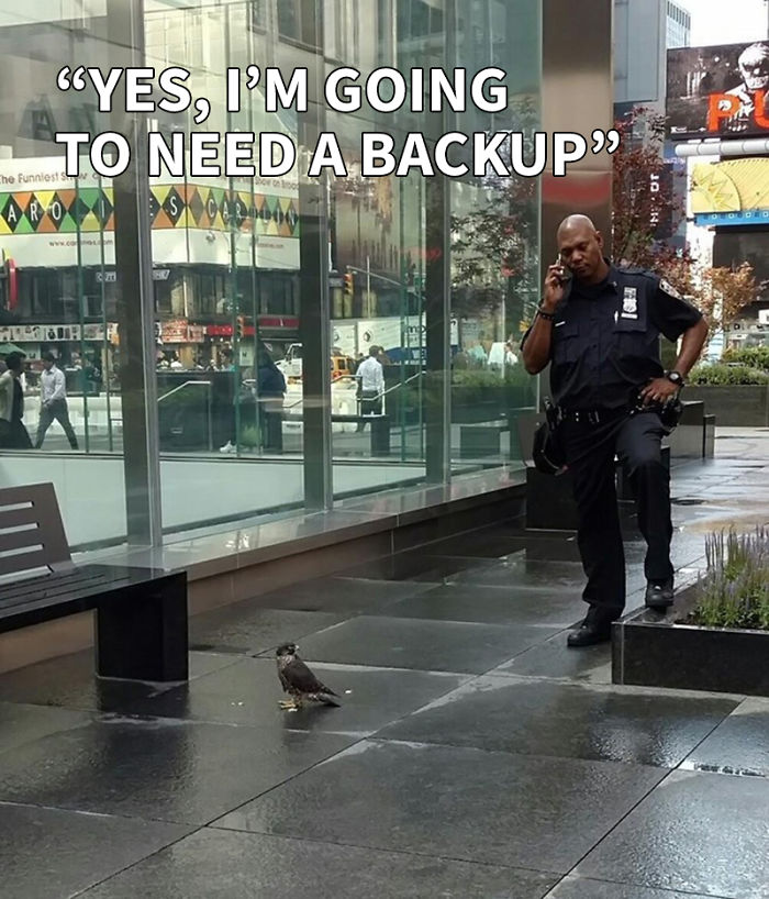 Yes, I'm Going To Need A Backup