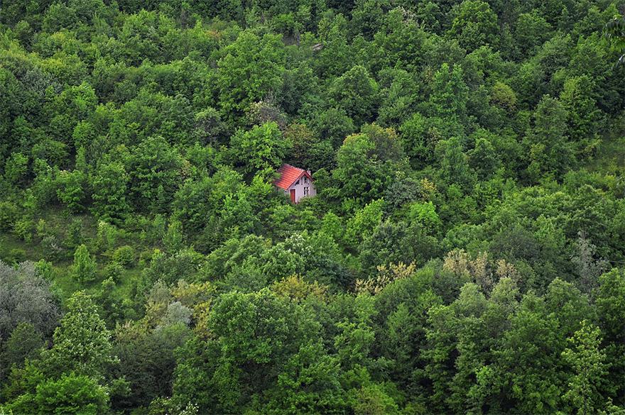 Cabin In The Woods
