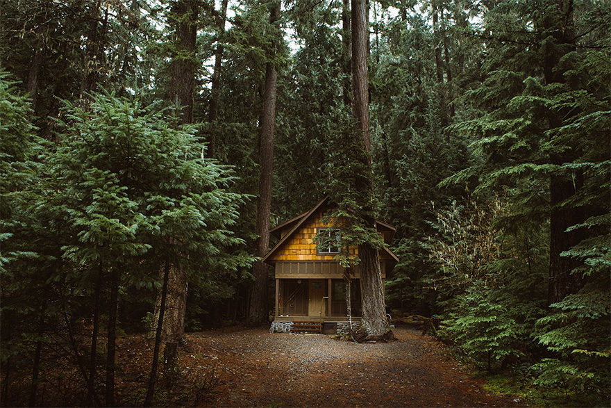 Cabin In The Woods