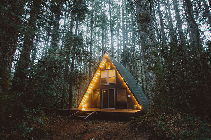 Cabin In The Woods