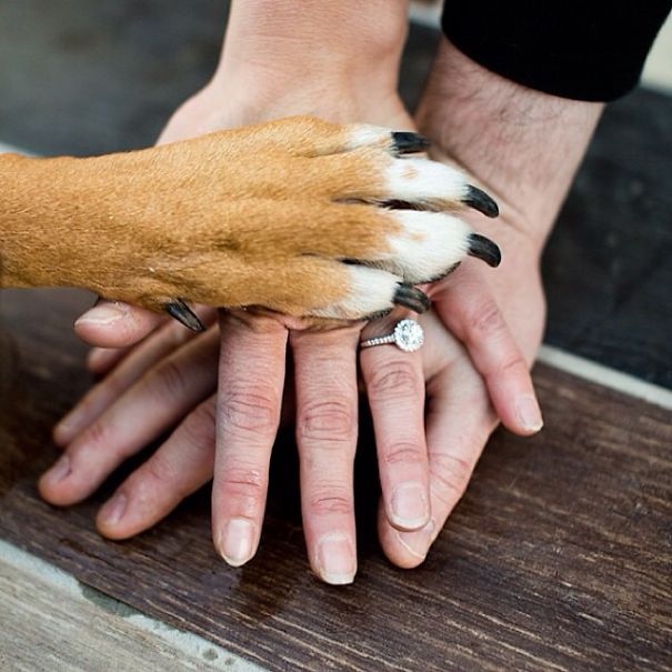 Hands Of The Family Stacked Together Engagement Announcement