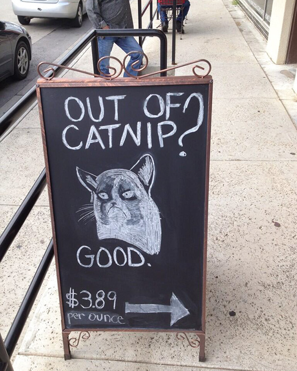 Found This Outside Our Local Pet Store