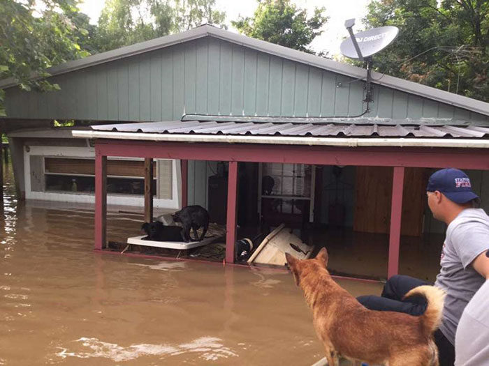 dad-son-save-dogs-flood-texas-10 dad-son-save-dogs-flood-texas-10