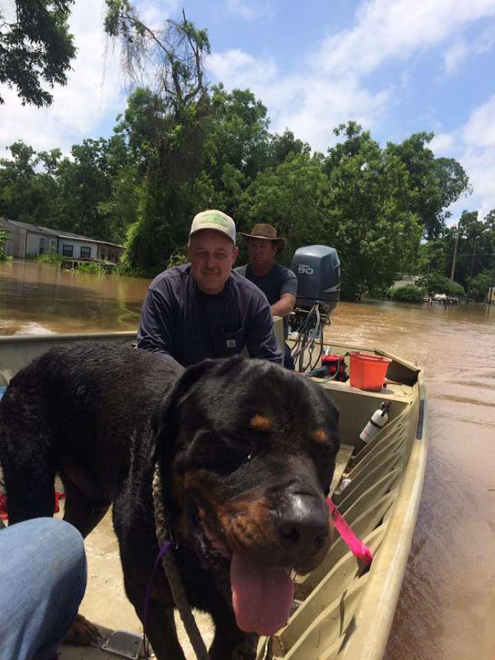 dad-son-save-dogs-flood-texas-21 dad-son-save-dogs-flood-texas-21