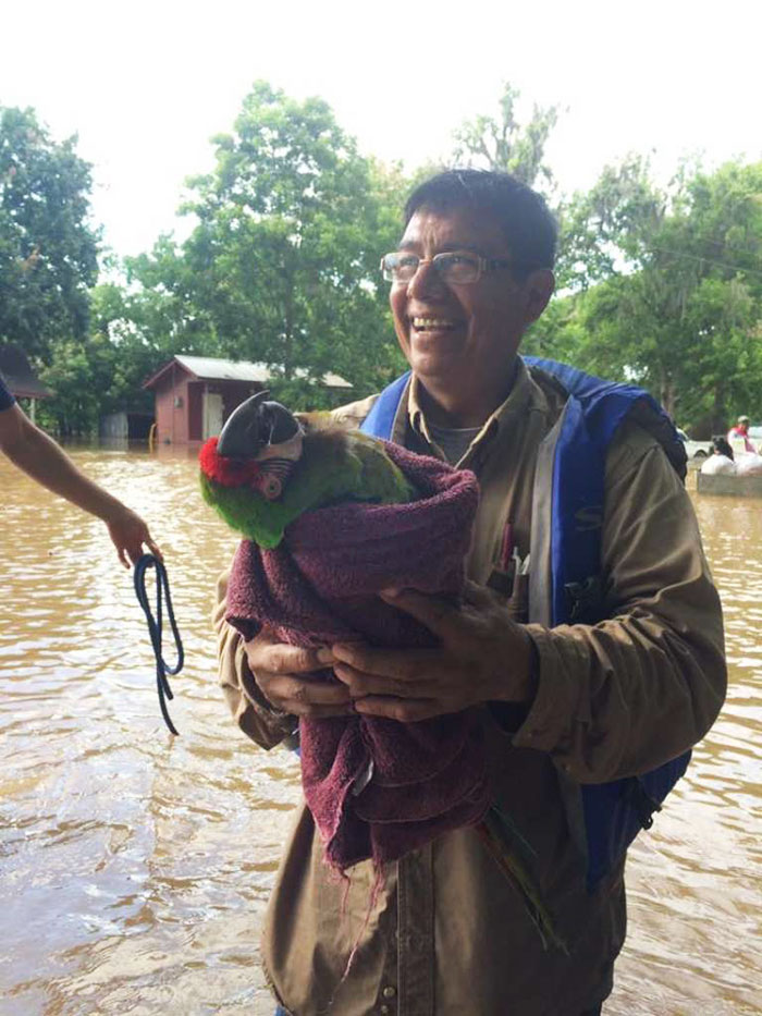 dad-son-save-dogs-flood-texas-28 dad-son-save-dogs-flood-texas-28
