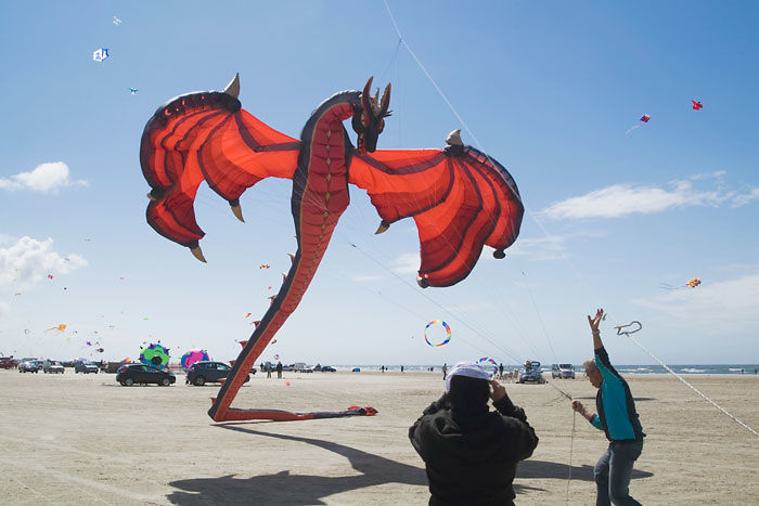 Dragon Kite