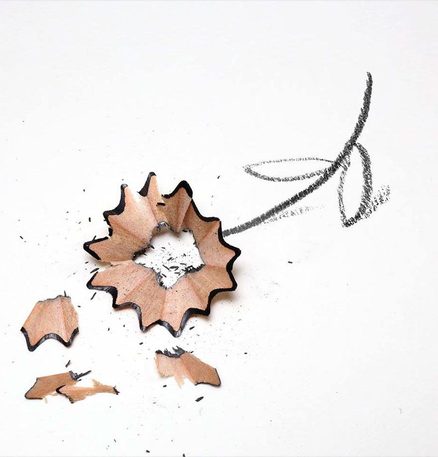 Everyday Object Illustration