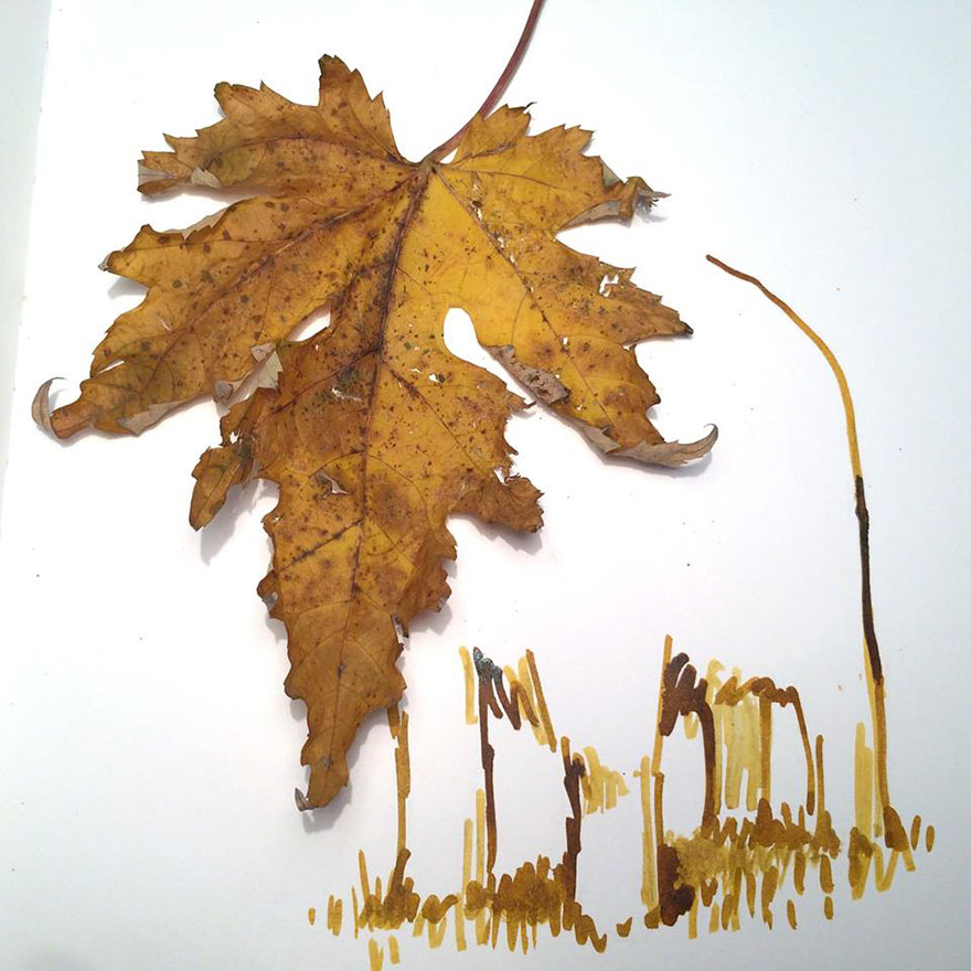 Everyday Object Illustration