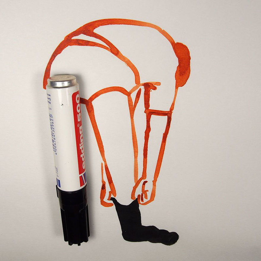 Everyday Object Illustration