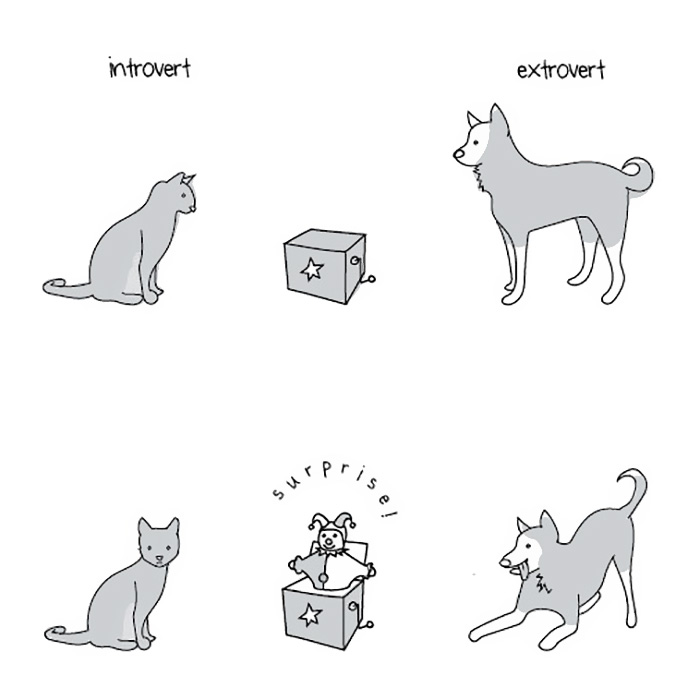 extroverts-vs-introverts-explained-liz-fosslien-mollie-west-11