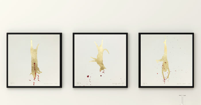 We Created A Collage Series As A Reaction On Animal Cruelty