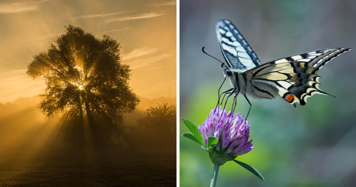 I Photograph The Beautiful Nature Of Poland