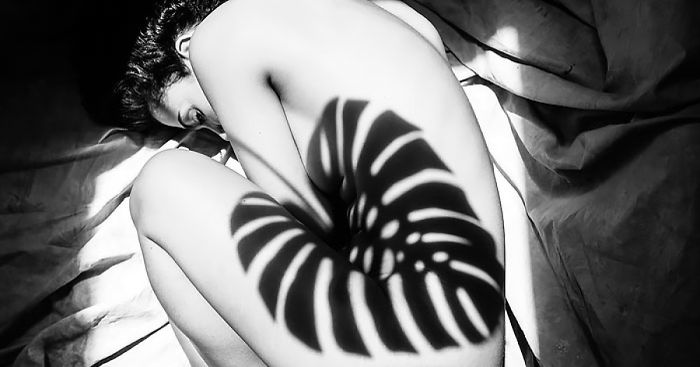 Woman curled up with shadows of nature casting patterns on her body in a black and white artistic photograph.
