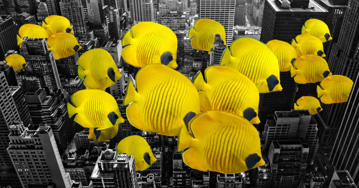 What If Enormous Animals Lived In Our Cities