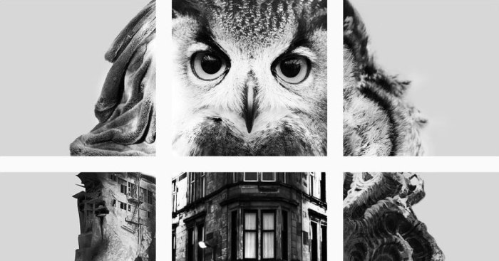 This Instagram Only Makes Sense When You See The Bigger Picture