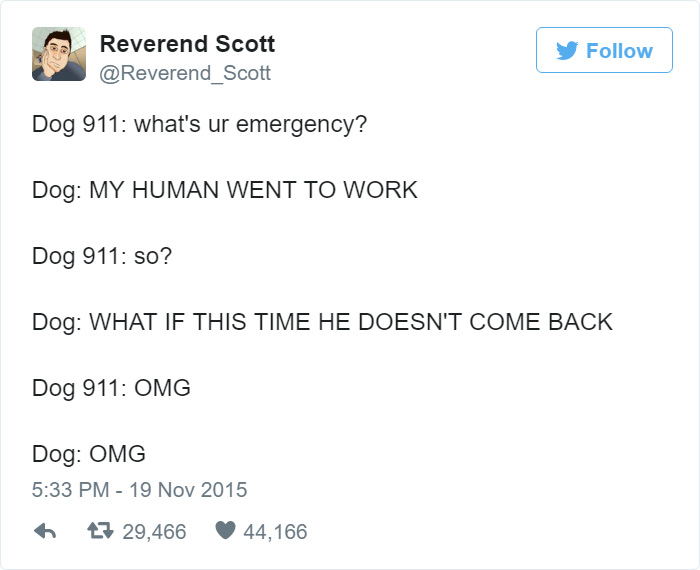 Dog humor tweet about imagined emergencies if dogs could call 911, featuring a dog's worry about its human not returning from work.