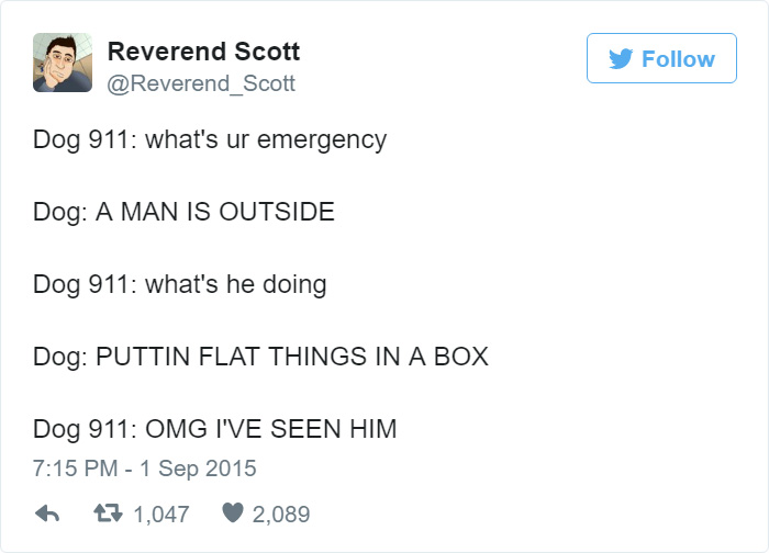 Funny dog emergency tweet about a man outside putting flat things in a box.
