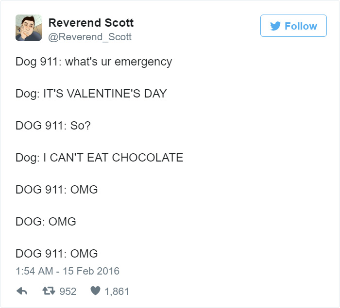 Dog 911 emergency tweet humorously focuses on a dog unable to eat Valentine's chocolate.