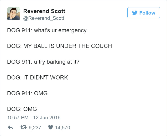 Dog tweets about a ball emergency, imagining if dogs could call for help.