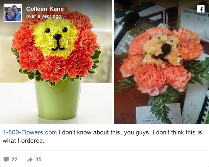 Online purchase regret: mismatched flower arrangement resembling a lion.