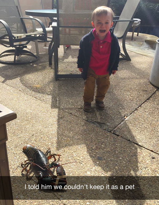 I told him we couldn't keep it as a pet