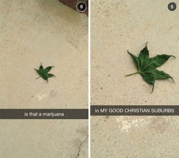 Hilarious Snapchat of a leaf with captions mistaking it for m*******a, highlighting humor in suburban settings.
