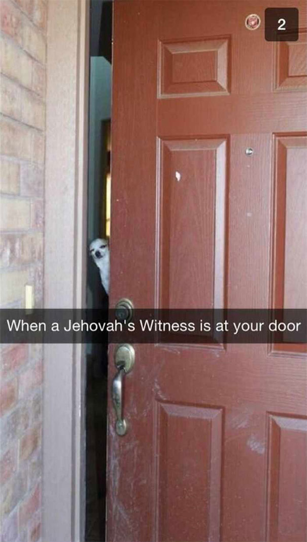A curious cat peeks through a door with a funny Snapchat caption.
