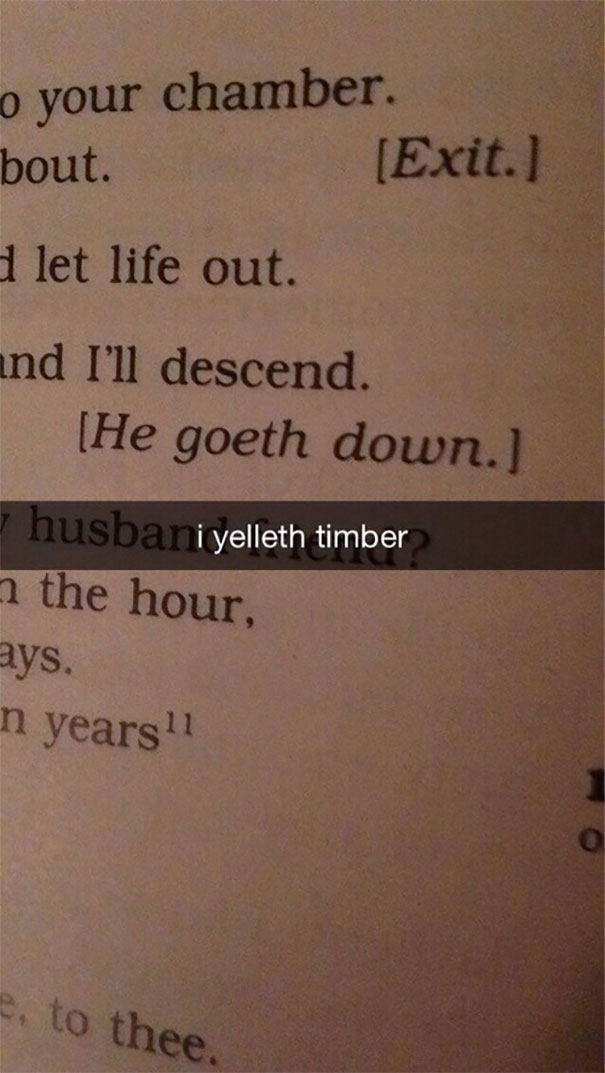 Snapchat text overlay on a book page, humorously saying "I yelleth timber."