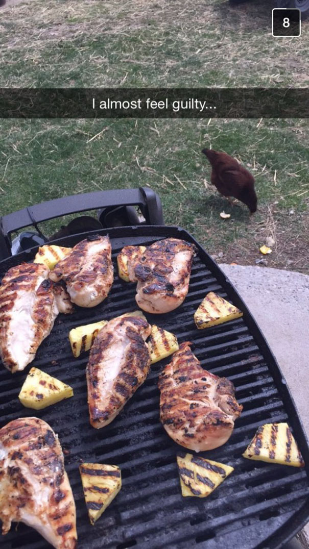 Grilled chicken and pineapple on a barbecue, with a chicken nearby on the grass.