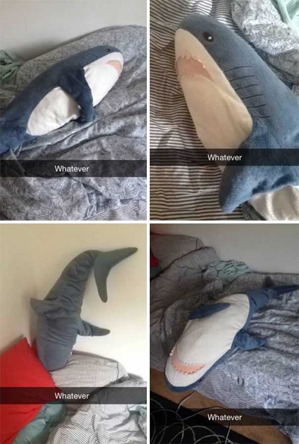 Plush shark in funny poses with "Whatever" caption, part of hilarious Snapchats collection.