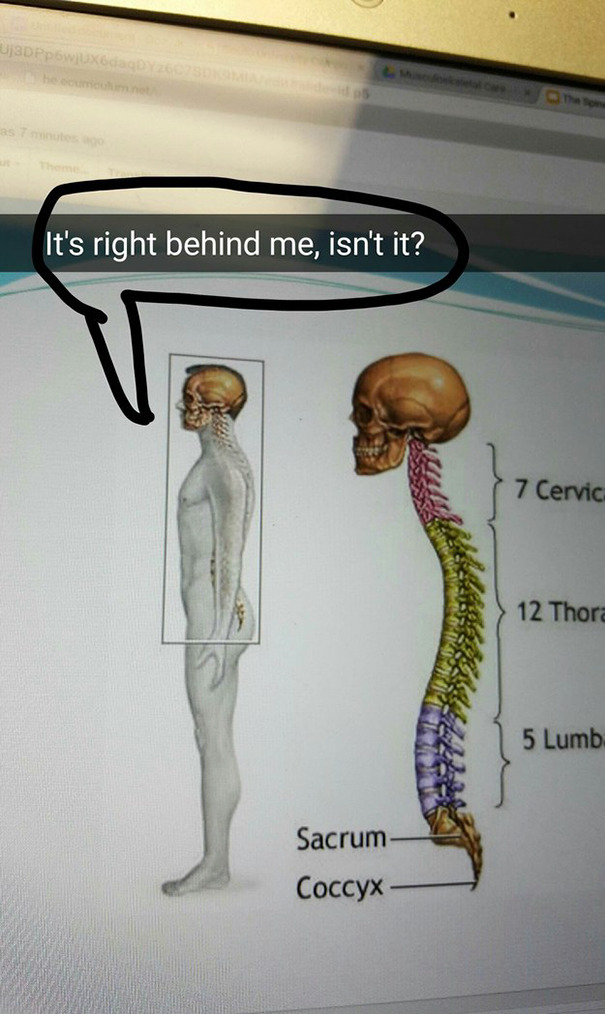 Funny Snapchat of a skeletal diagram with a speech bubble saying, "It's right behind me, isn't it?"