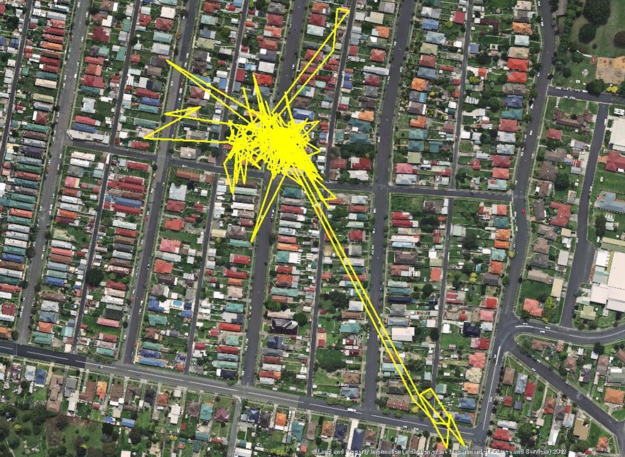 gps-tracker-cat-movement-map-lithgow-central-tablelands-local-land-services-4
