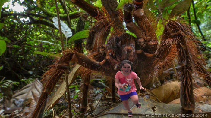 Girl Running From Spider