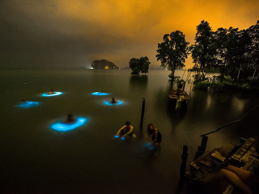 halo-effect-swimmers-bioluminescent-phytoplankton-thailand-will-strathmann halo-effect-swimmers-bioluminescent-phytoplankton-thailand-will-strathmann
