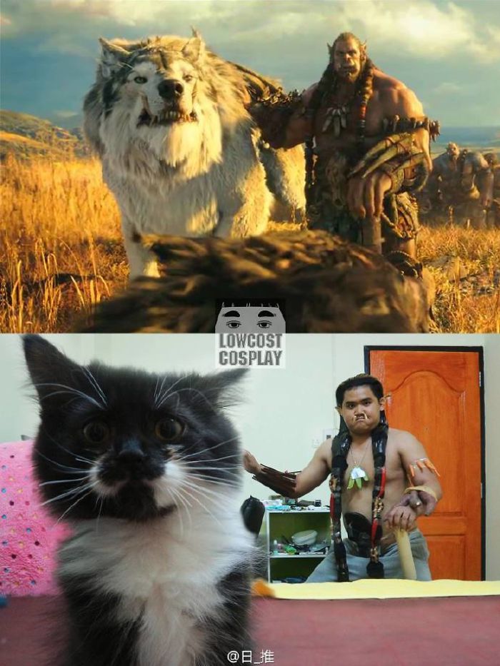 9 Amazing Low Cost Cosplays