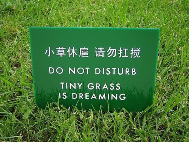 Funny Chinese Translation Fails