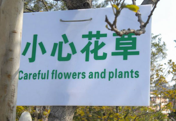 Funny Chinese Translation Fails