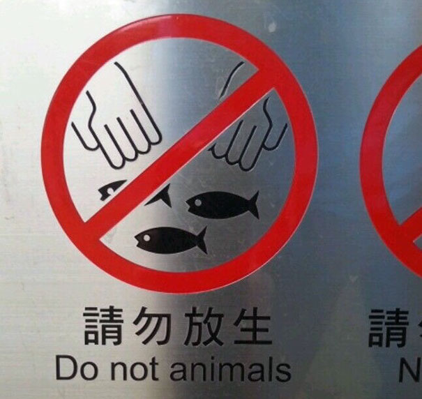 Funny Chinese Translation Fails