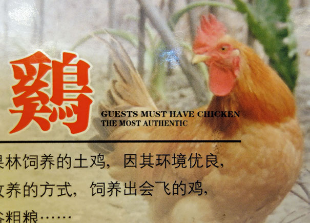 Funny Chinese Translation Fails