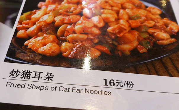 Funny Chinese Translation Fails