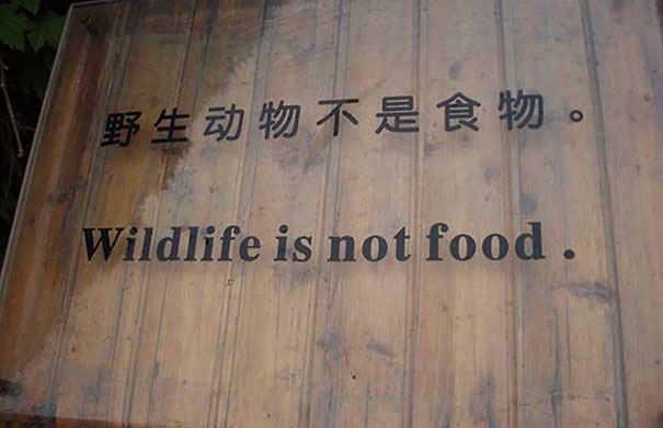 Funny Translation Fails