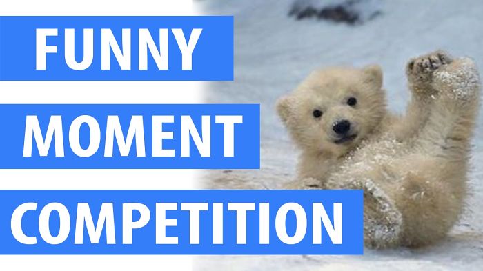 Hello, My Name Is “funny” !