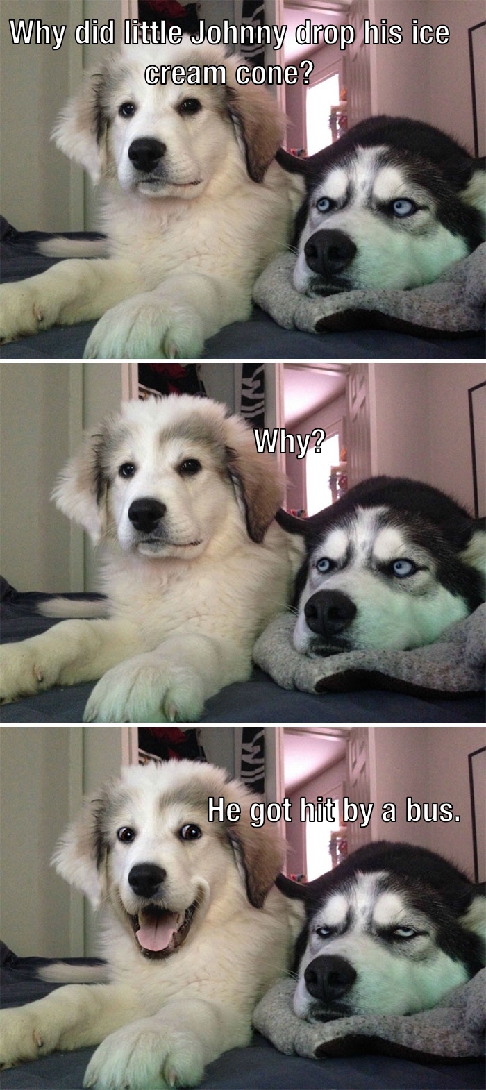 Why Did Little Johnny Drop His Ice Cream Cone?