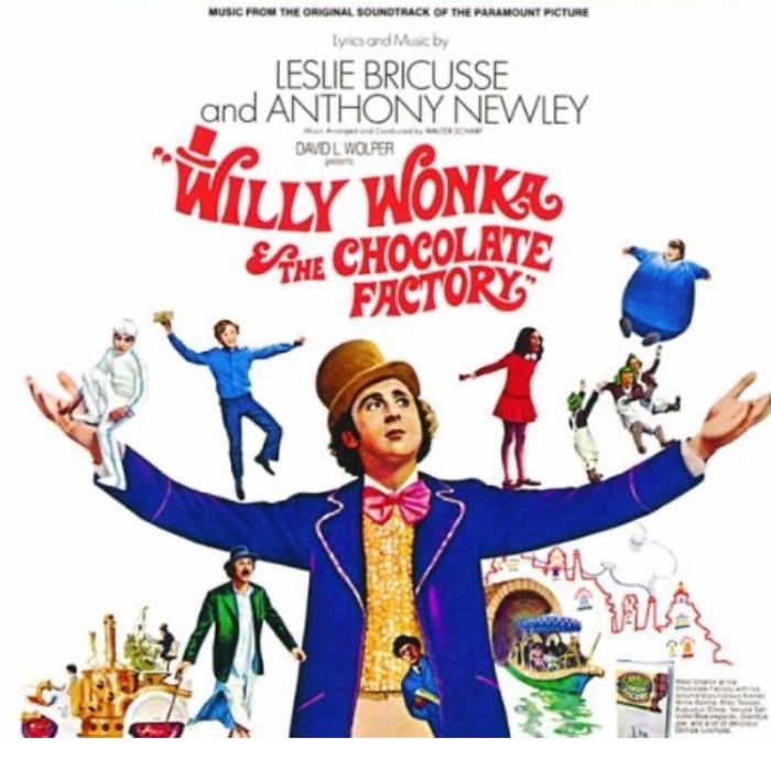 Poster for "W***y Wonka And The Chocolate Factory" movie