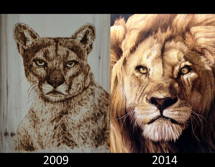 Woodburning 2009 Vs 2014